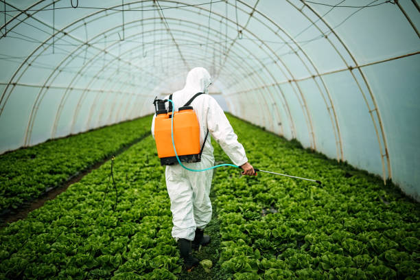 Best Insect Control  in Wauchula, FL