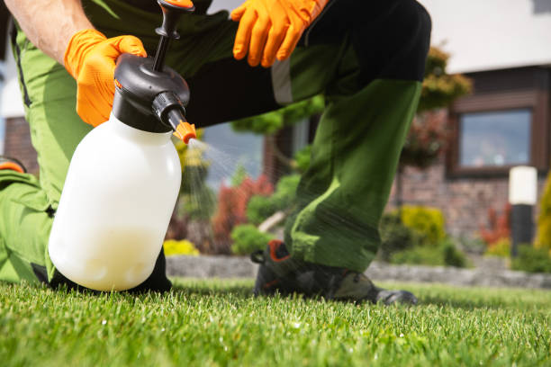 Best Affordable Pest Control Services  in Wauchula, FL