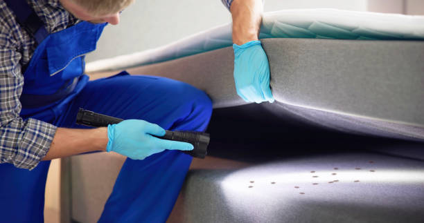 Best Mosquito Control Services  in Wauchula, FL