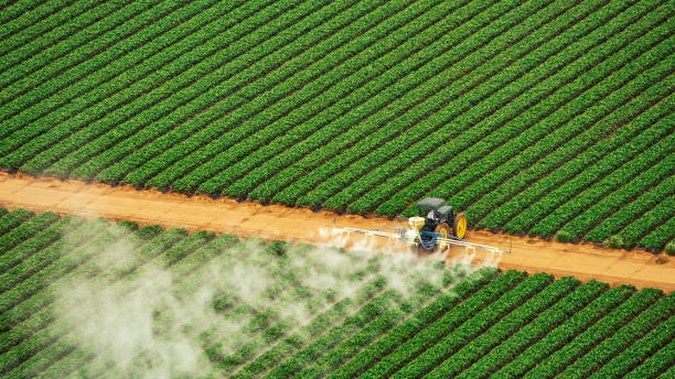 Best Insect Control  in Wauchula, FL